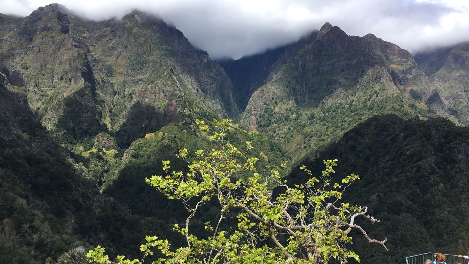 EPIC hiking week in Madeira Island 