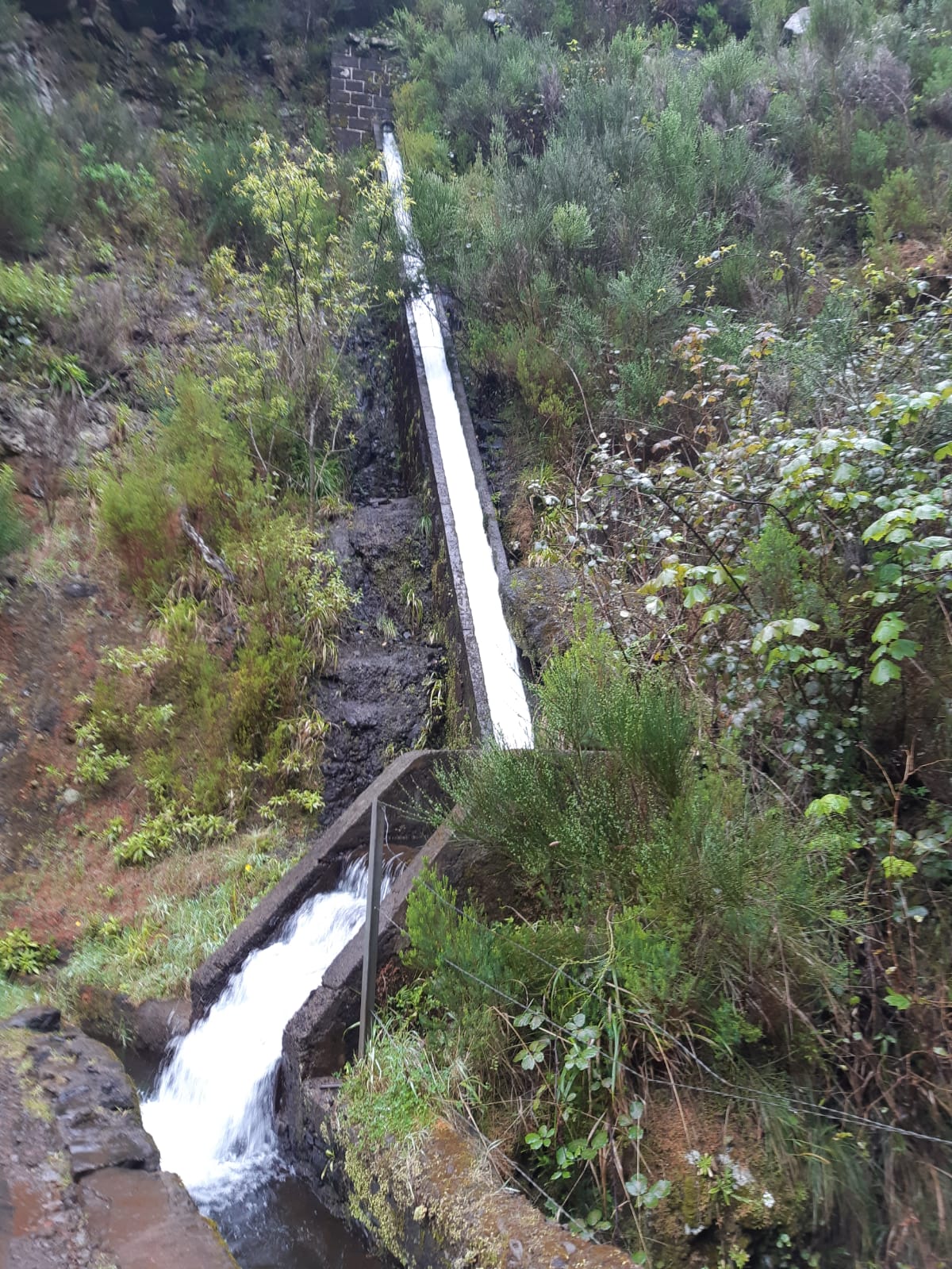 Hiking trekking Levada Madeira Island 25 fountains