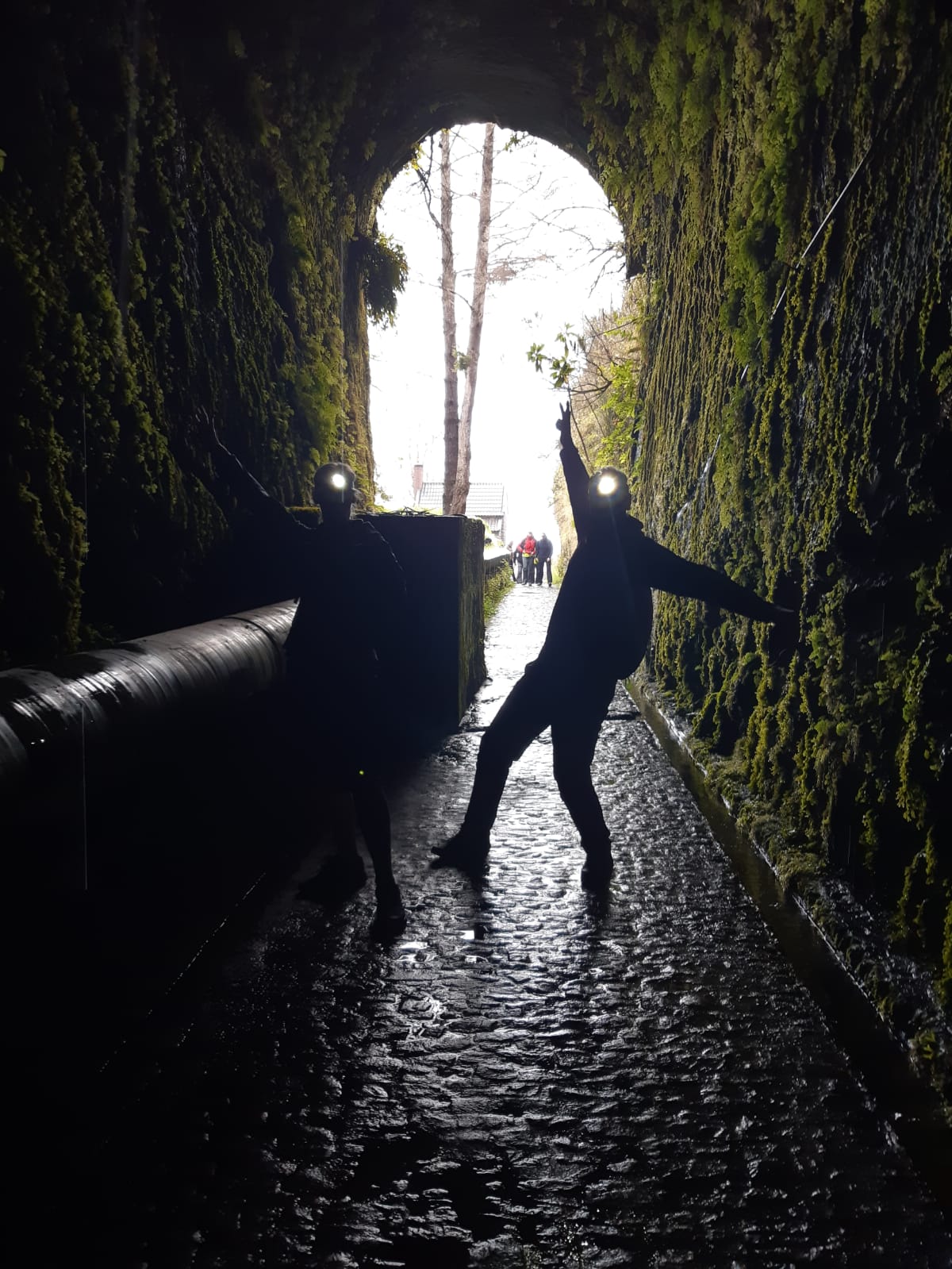 Hiking trekking Levada Madeira Island 25 fountains