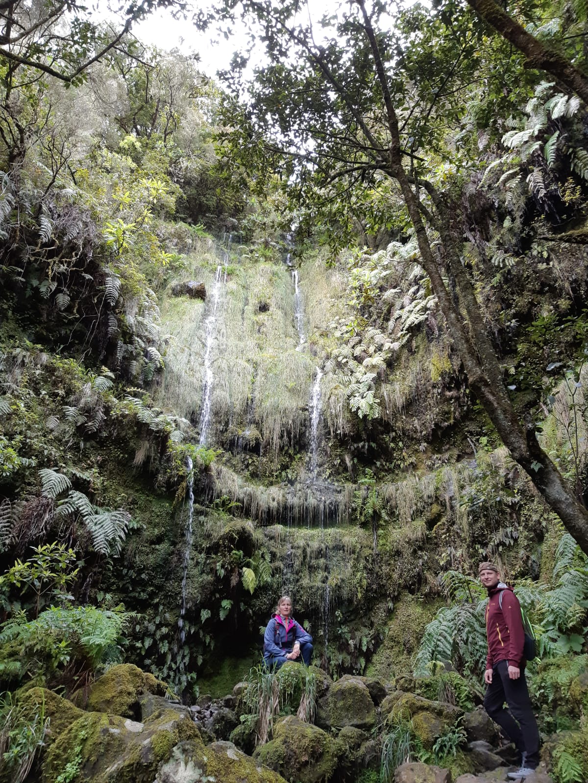Madeira Island Hiking trekking Week - Caldeirão Verde  green Calderon 