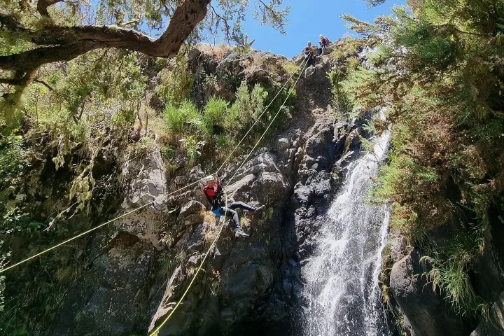 a large waterfall next to a tree