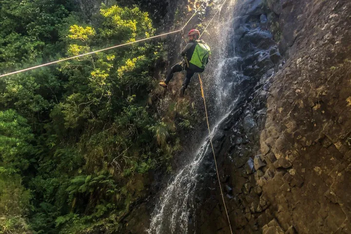 a waterfall in a forest