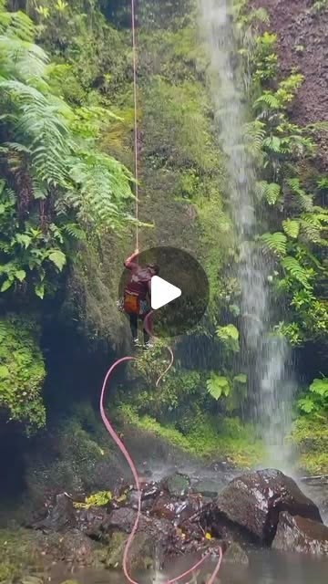 Canyoning in Madeira, rappelling beside a waterfall in the green Laurisilva forest