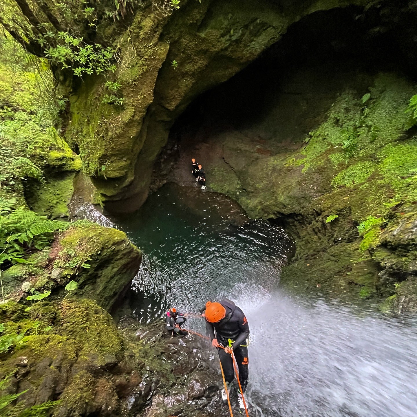 Canyoneers in orange helmets descending beside a waterfall into a pool in a mossy Madeira canyon