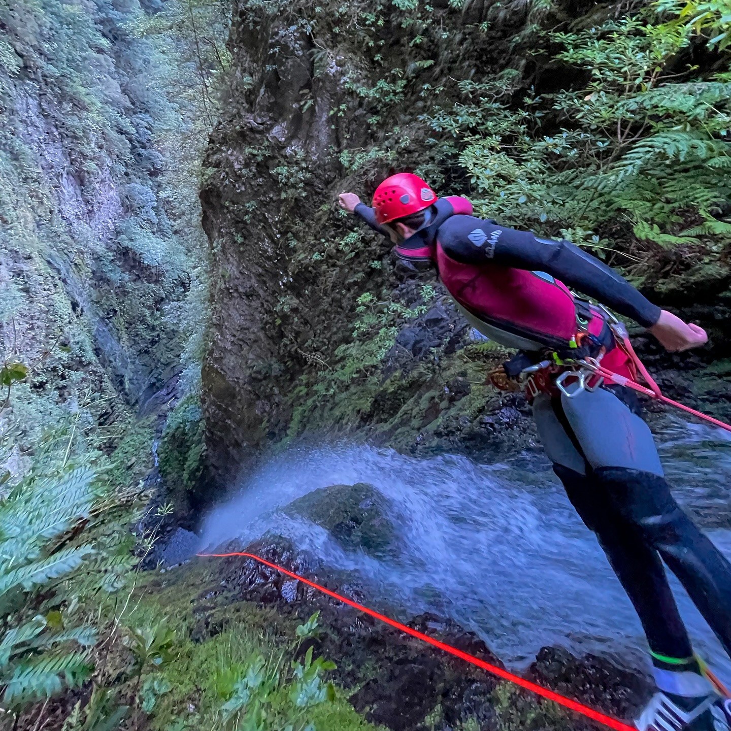 Canyoneer in a pink vest and red helmet at the edge of a waterfall in a mossy Madeira canyon