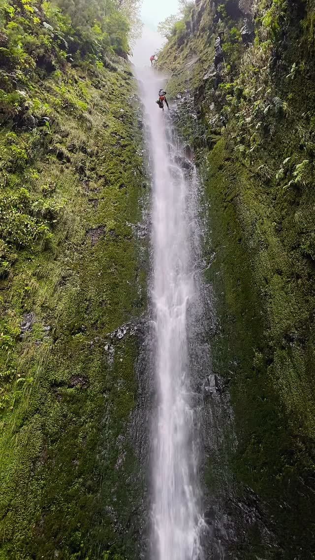 Canyoneer rappelling down a tall, narrow waterfall in a steep green gorge in Madeira