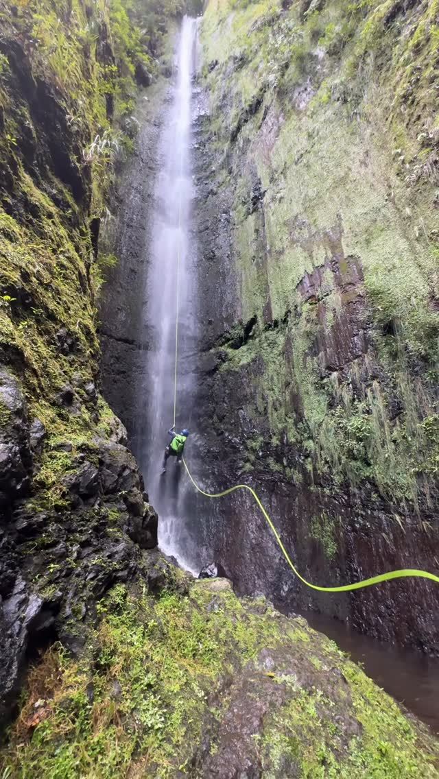 Canyoneer rappelling down a tall, thin waterfall on a yellow rope in a narrow mossy gorge in Seixal, Madeira