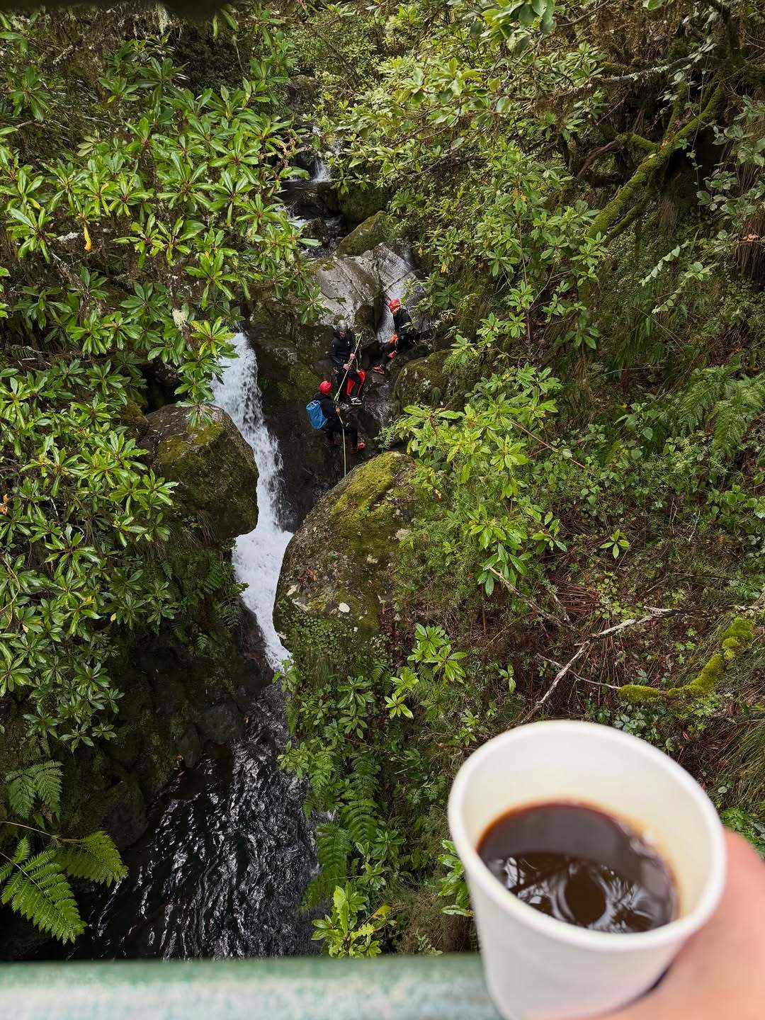 Coffee in hand above a waterfall while canyoneers rappel in a green gorge in Madeira